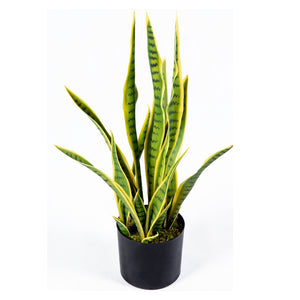 Herqona - Artificial Sansevieria Snake Plant with Pot & Moss - 75cm