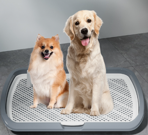 WigWagga - Dog Toilet Tray With Removable Mesh & Grid 66cm - Grey