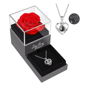 Volamor - Preserved Real Rose with I Love You Necklace - Silver