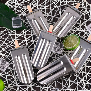 Pruchef - 6Pcs Reusable & Leakproof Stainless Steel Popsicle Mold Set – Silver