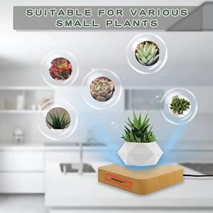 Herqona - 360 Degrees Rotation Magnetic Floating Flowerpot - White