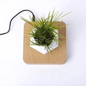 Herqona - 360 Degrees Rotation Magnetic Floating Flowerpot - White