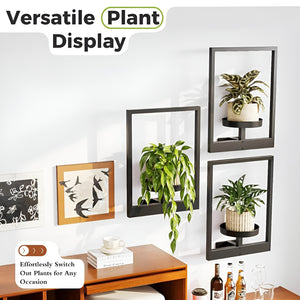 Herqona - 3Pcs Wall Mounted Metal Plant Stand for Indoor & Outdoor Wall Decor - Black