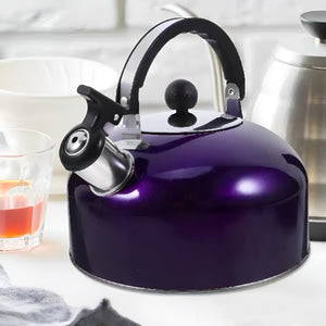 Puchef - 4L Stainless Steel Whistling Tea Kettle for Indoor & Outdoor Use - Blue