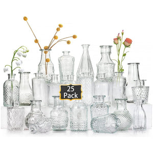 Volamor - 25 Pcs Clear Small Glass Bud Vases for Flowers - Transparent