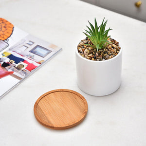 Herqona- Succulent Plant Pots -Cylindrical Containers with Drainage Hole and Bamboo Tray- White