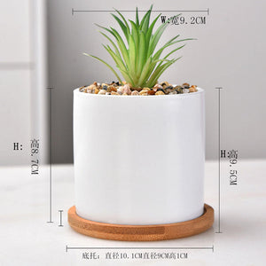 Herqona- Succulent Plant Pots -Cylindrical Containers with Drainage Hole and Bamboo Tray- White