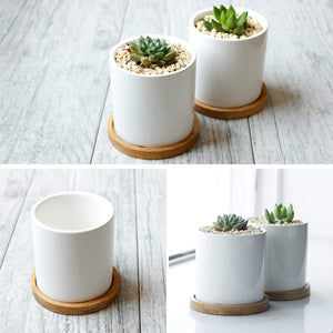 Herqona- Succulent Plant Pots -Cylindrical Containers with Drainage Hole and Bamboo Tray- White