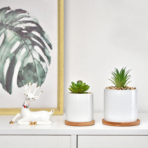 Herqona- Succulent Plant Pots -Cylindrical Containers with Drainage Hole and Bamboo Tray- White